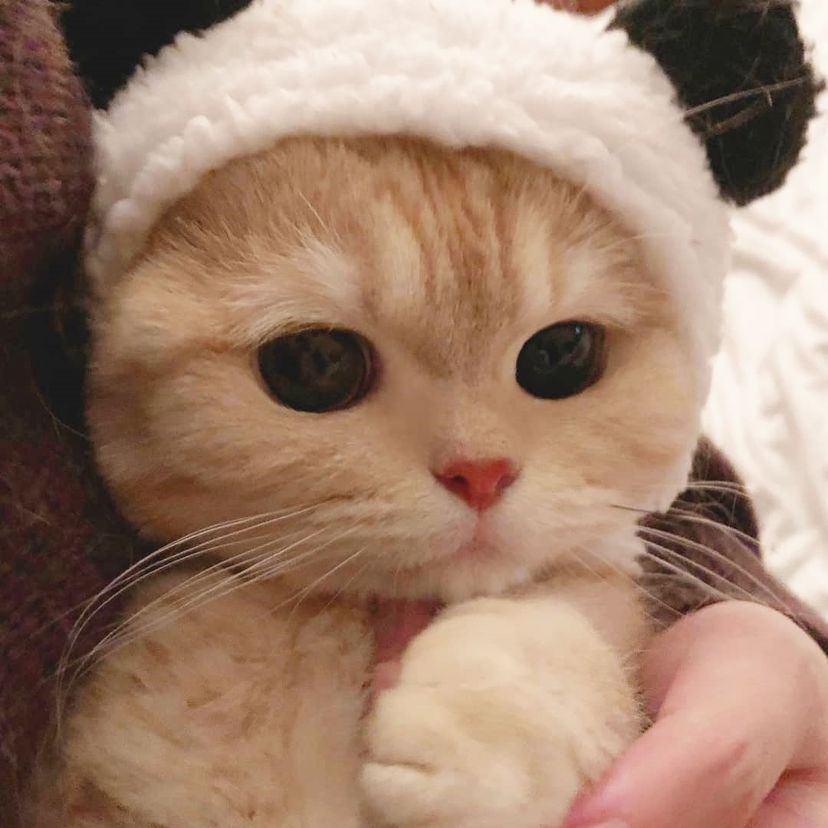 마약학과