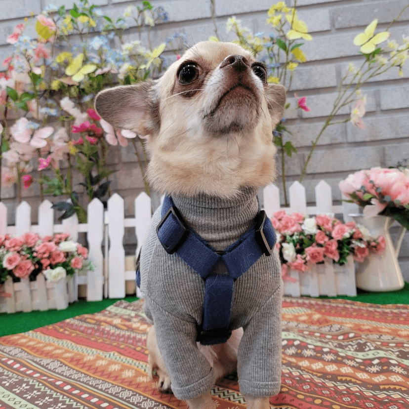 김나락