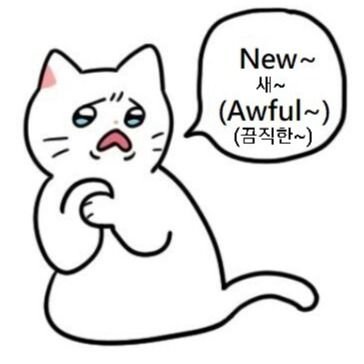 뉴