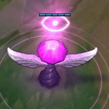 핑크와드