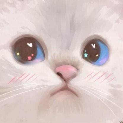 눈 냥